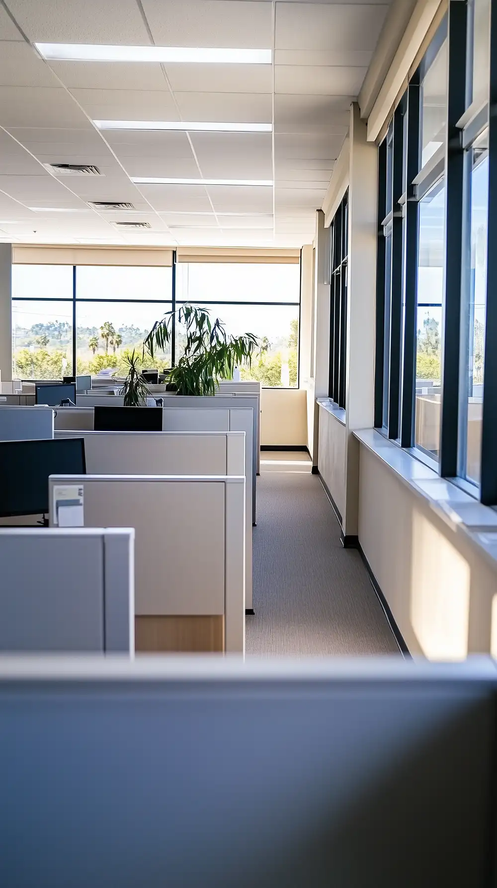 Office cleaning detail